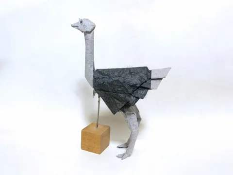 Ostrich