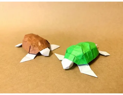 Sea Turtle