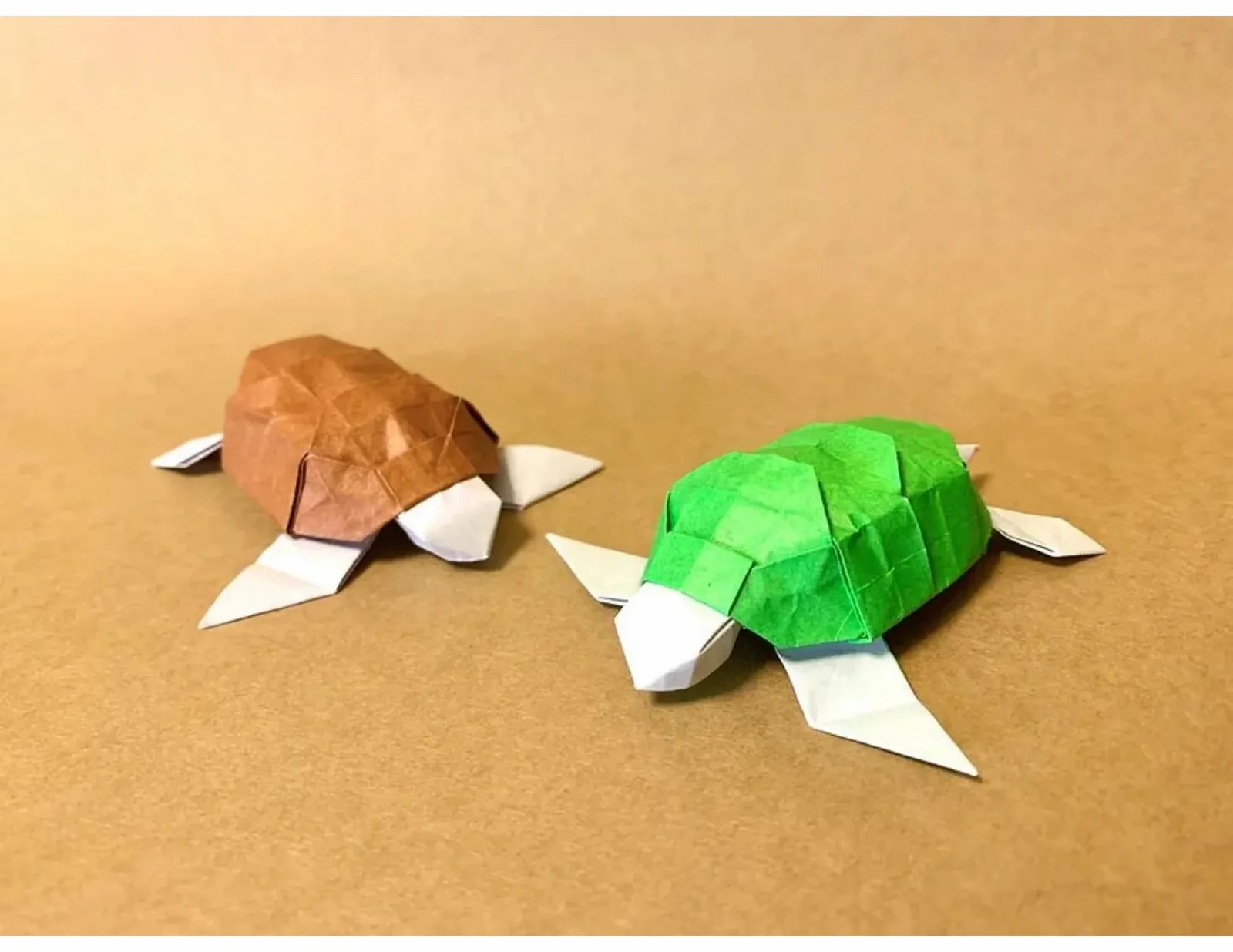 Sea Turtle