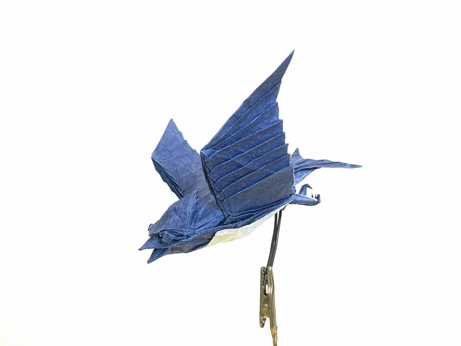 Swallow