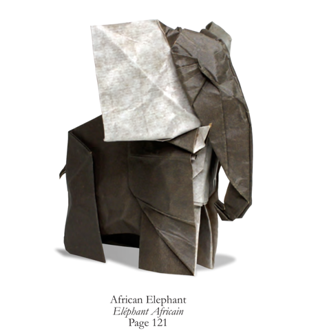 African elephant