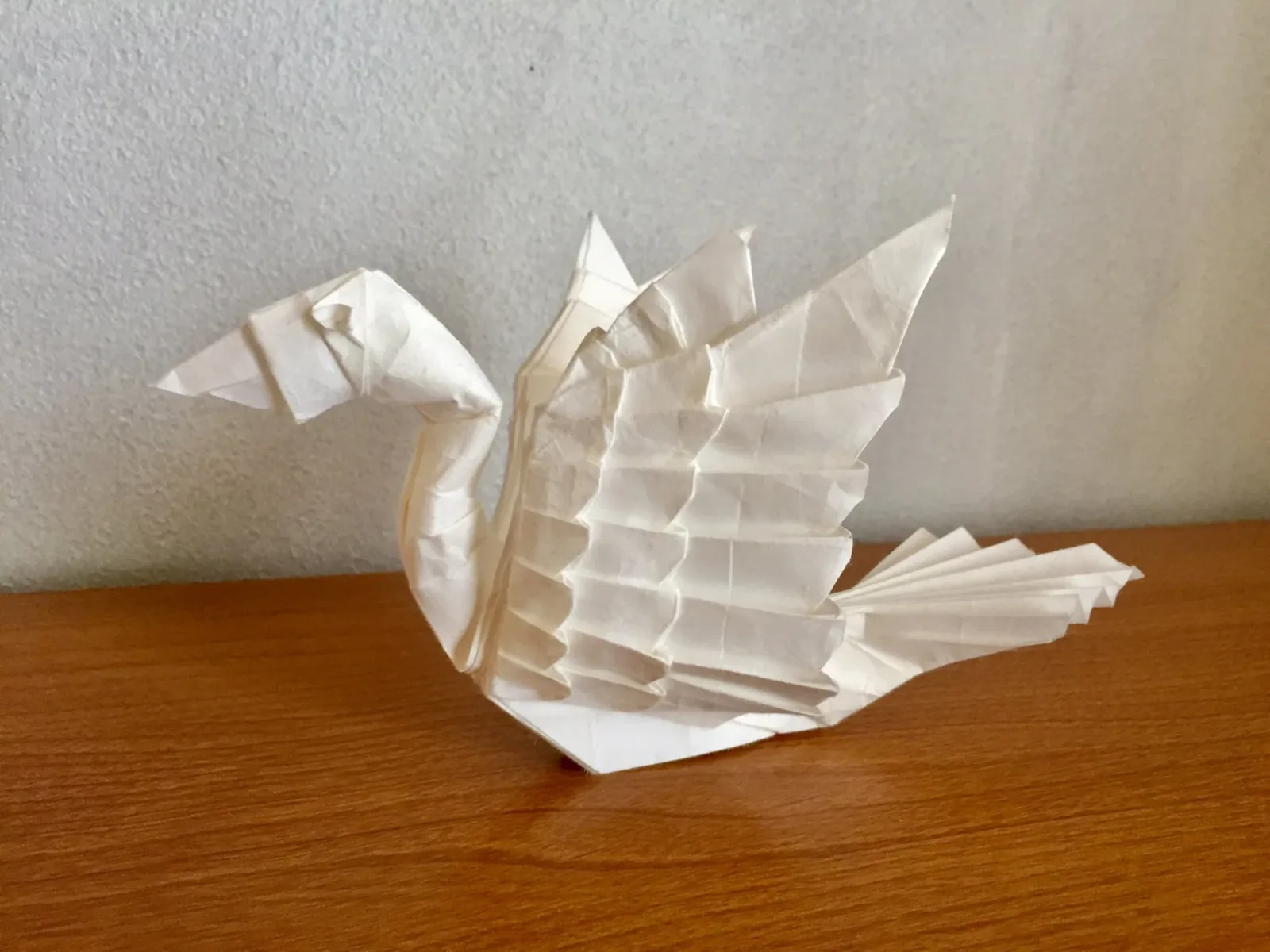 Swan