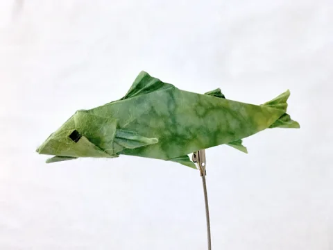 Sweetfish