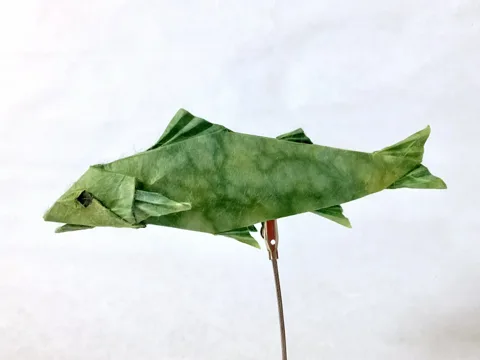 Sweetfish