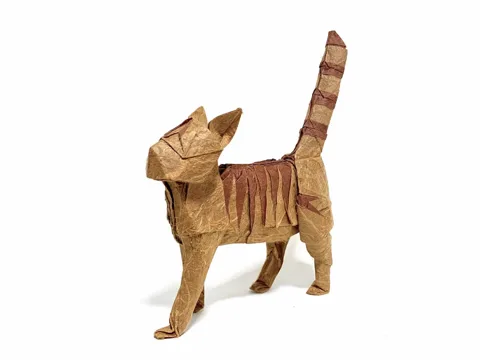 Tabby Cat