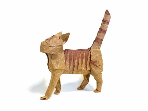 Tabby Cat