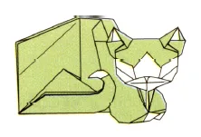 Cat 2