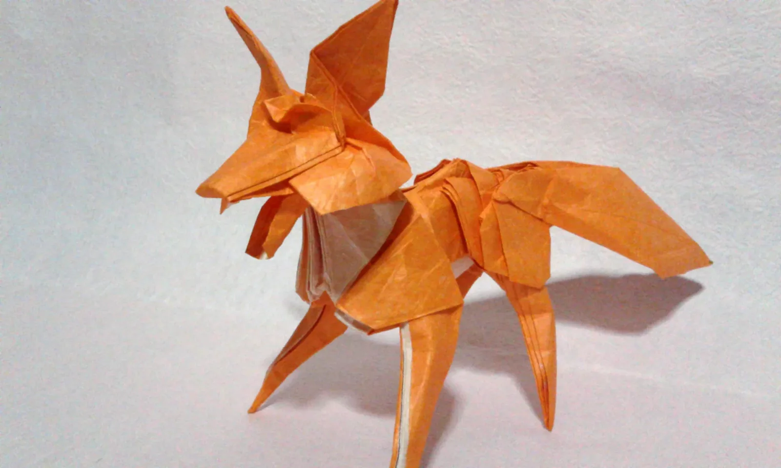 Fox