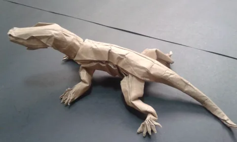 Komodo Dragon