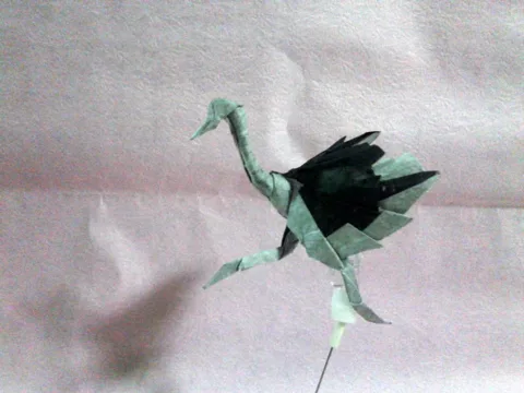 Ostrich