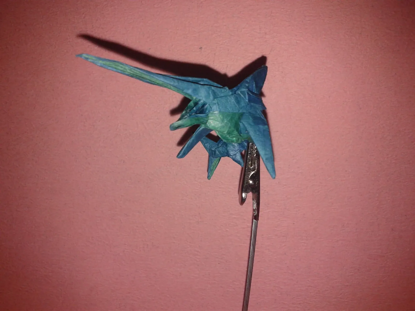 Swordfish