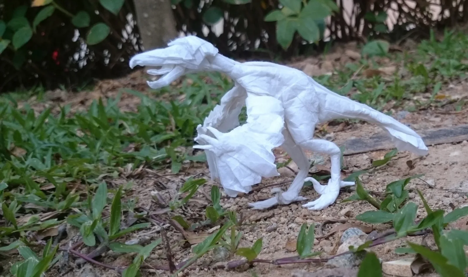 Velociraptor