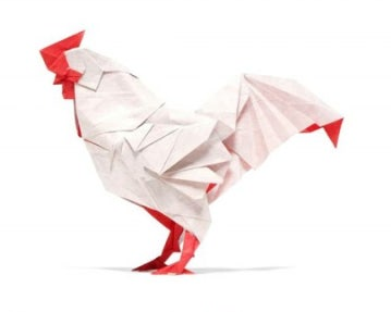 Rooster