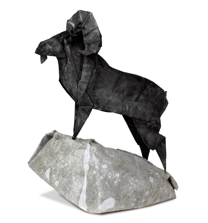 Ibex