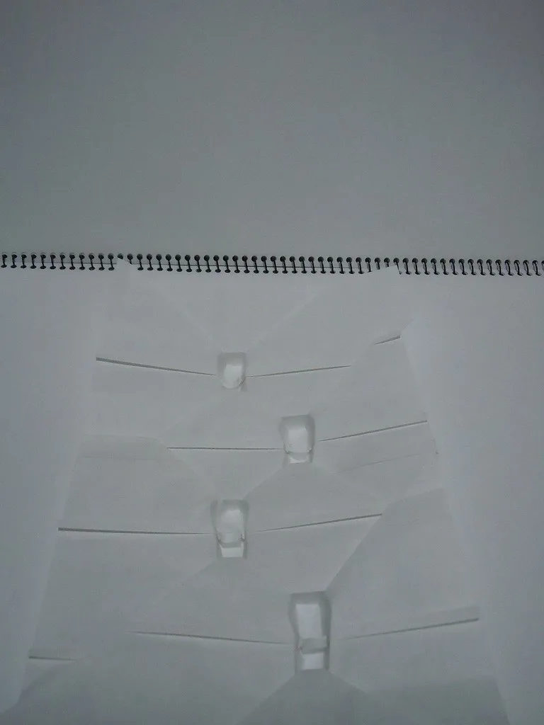 Fresh snow