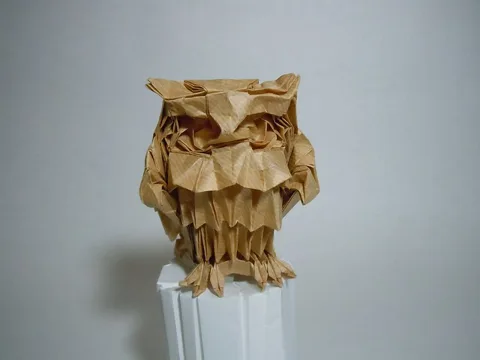Horned owl