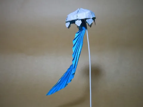 Jellyfish 2