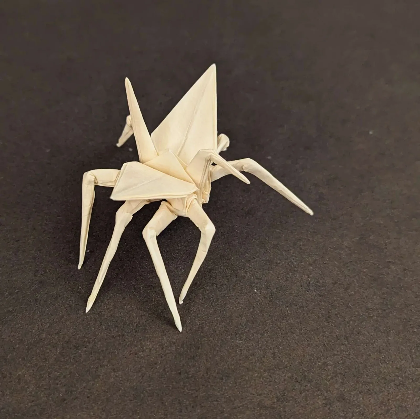 Crane Spider