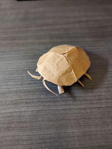 Tortoise Beetle