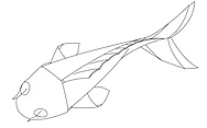Koi