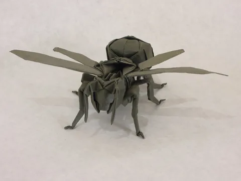 Wasp