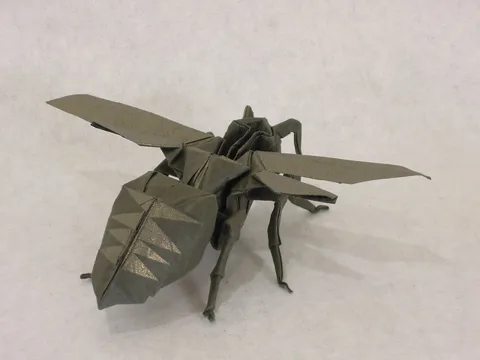 Wasp
