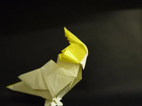 Cockatiel