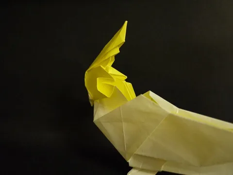 Cockatiel