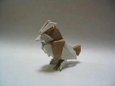 Pidgey