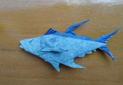 Tuna