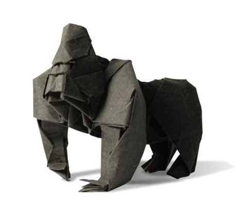 Gorilla