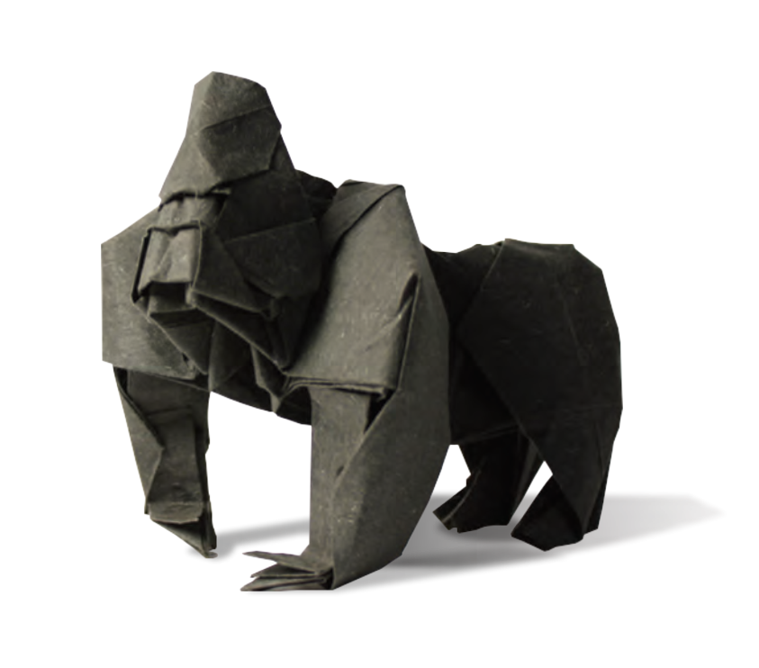 Gorilla