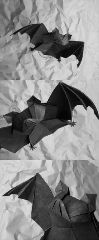 Bat