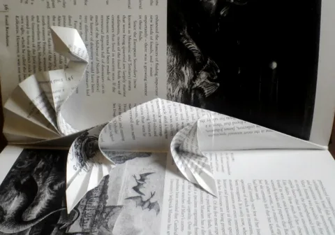 Book Plesiosaur