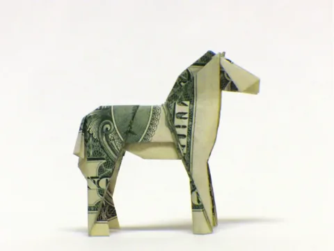 Dollar Bill Przewalski's Horse