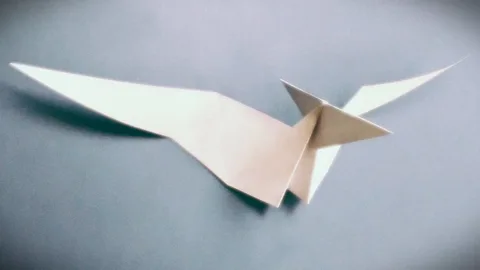 Stretched Bird Base Pteranodon Longiceps