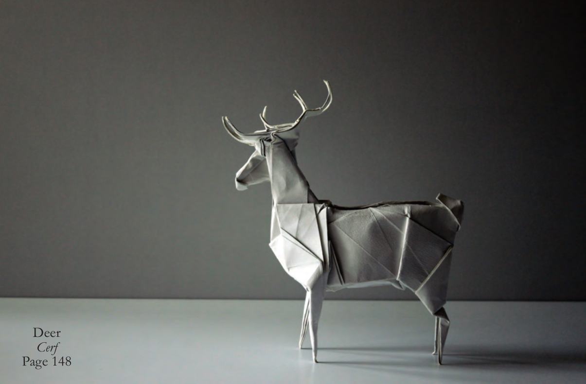 Deer