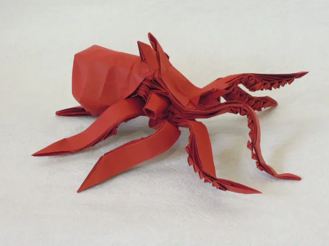 Octopus