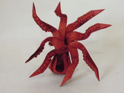 Octopus