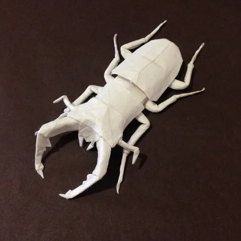 Prosopocoilus inclinatus