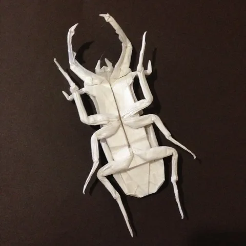 Prosopocoilus inclinatus