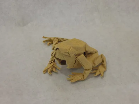 Tree frog