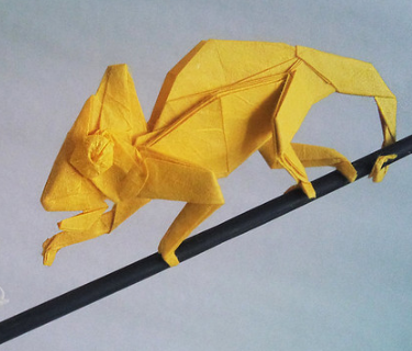 Chameleon
