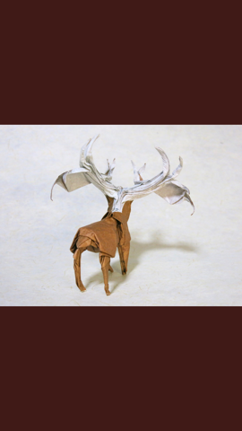 Elk
