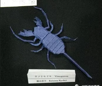 Vinegaroon (PD)