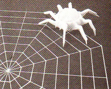 Spider