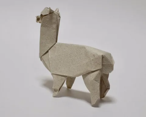 Alpaca