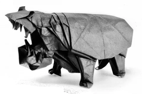 Hippo