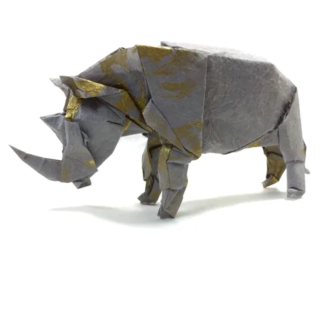 Rhinoceros