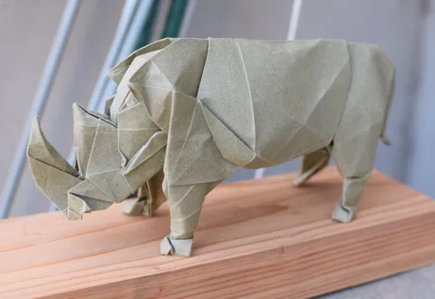 Rhinoceros 2